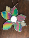 **SOLD OUT** Iridescent Night Botanical
